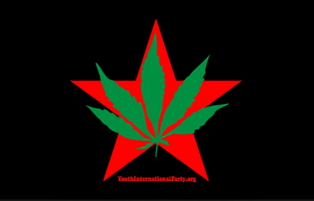 Yippie! Let's Bring Back the Youth International Party