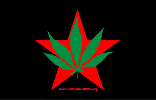 Yippie! Let's Bring Back the Youth International Party